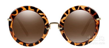 時尚與防護 揭秘熱門太陽眼鏡價格與選購指南